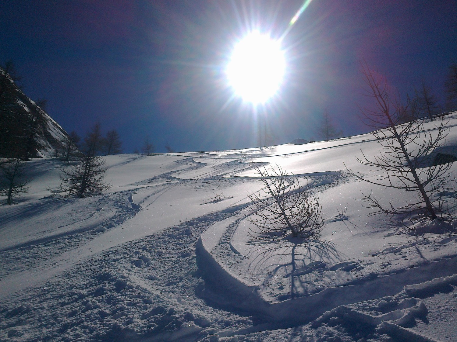sous le col