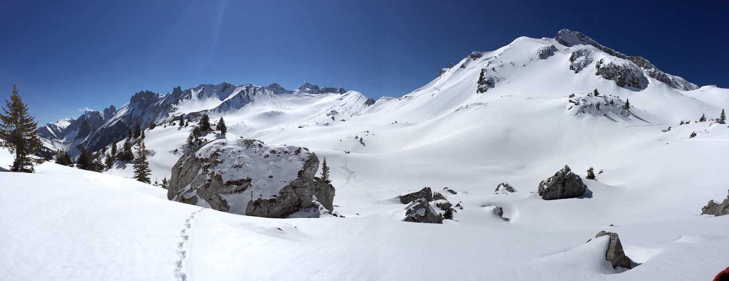 Col de Bise, au fond.