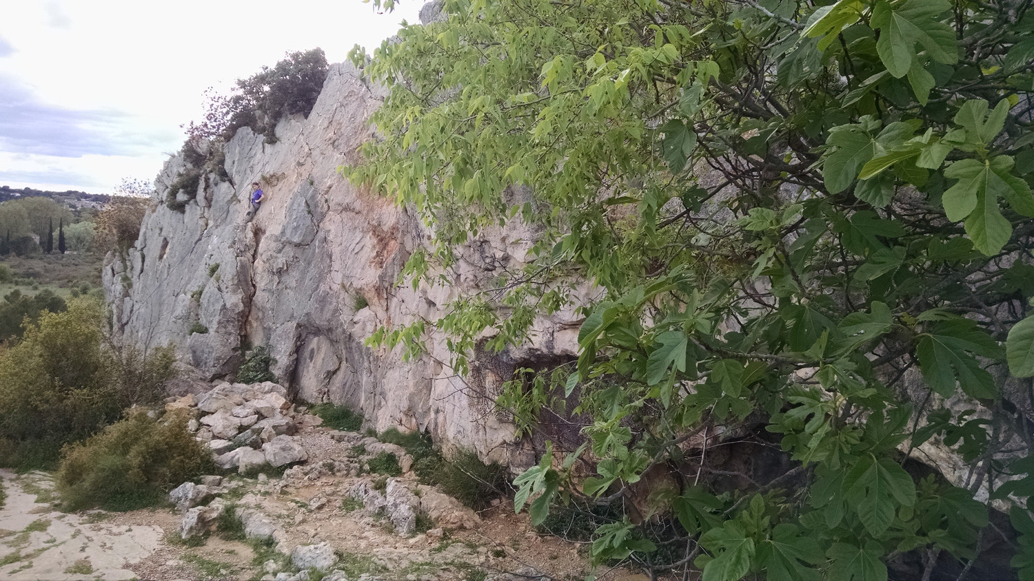 La G du mur, jusqu'a la grotte derrière l'arbre