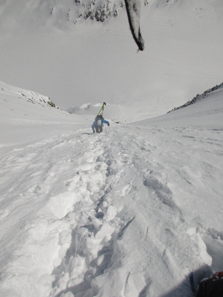 il est beau le toboggan
