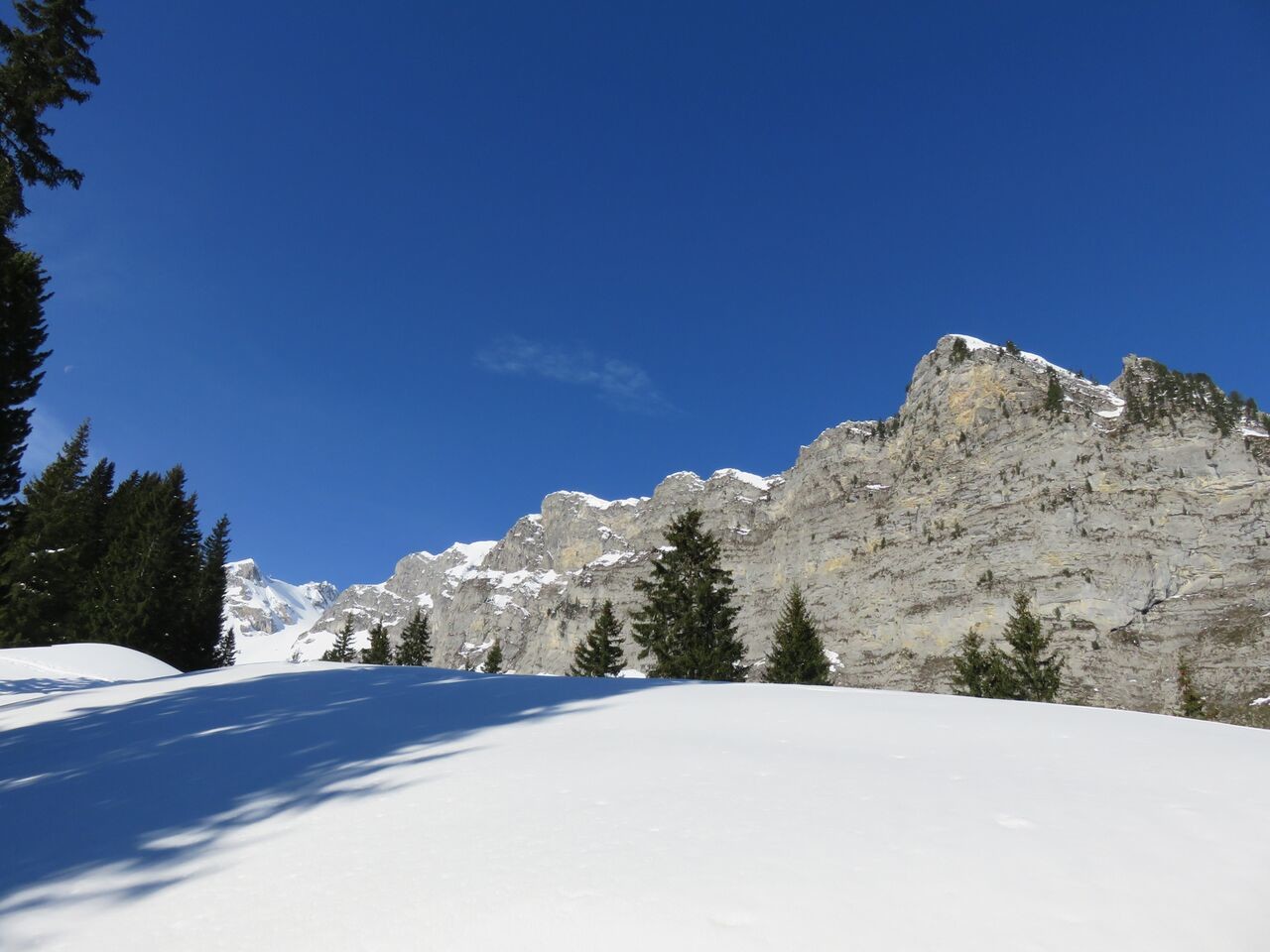 Wildgrimmital