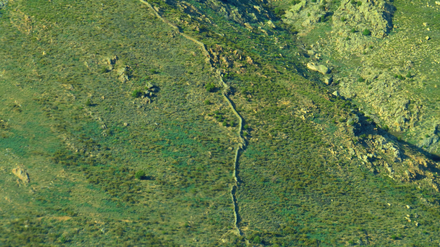 Murs du Niolu