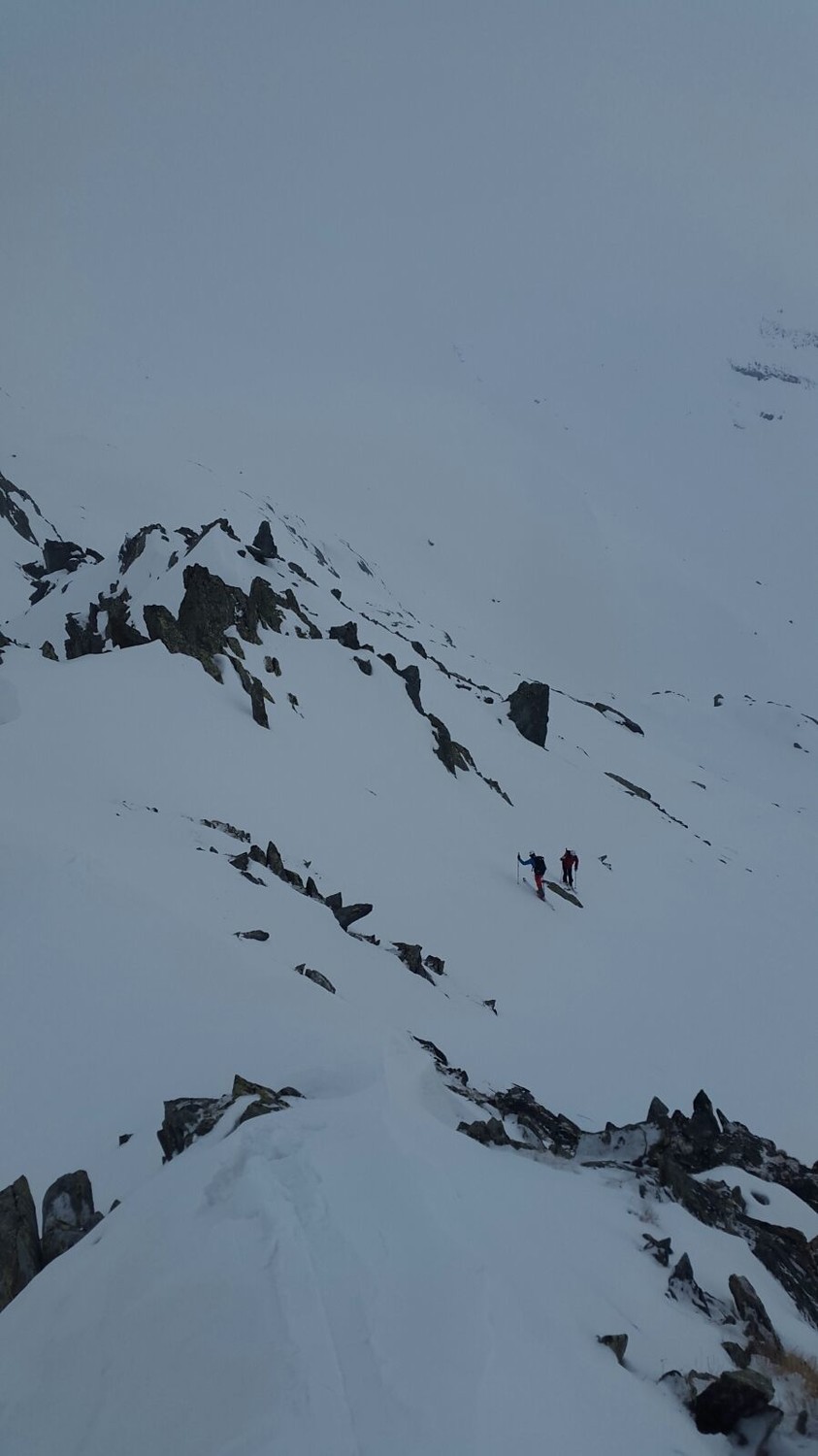 In arrivo