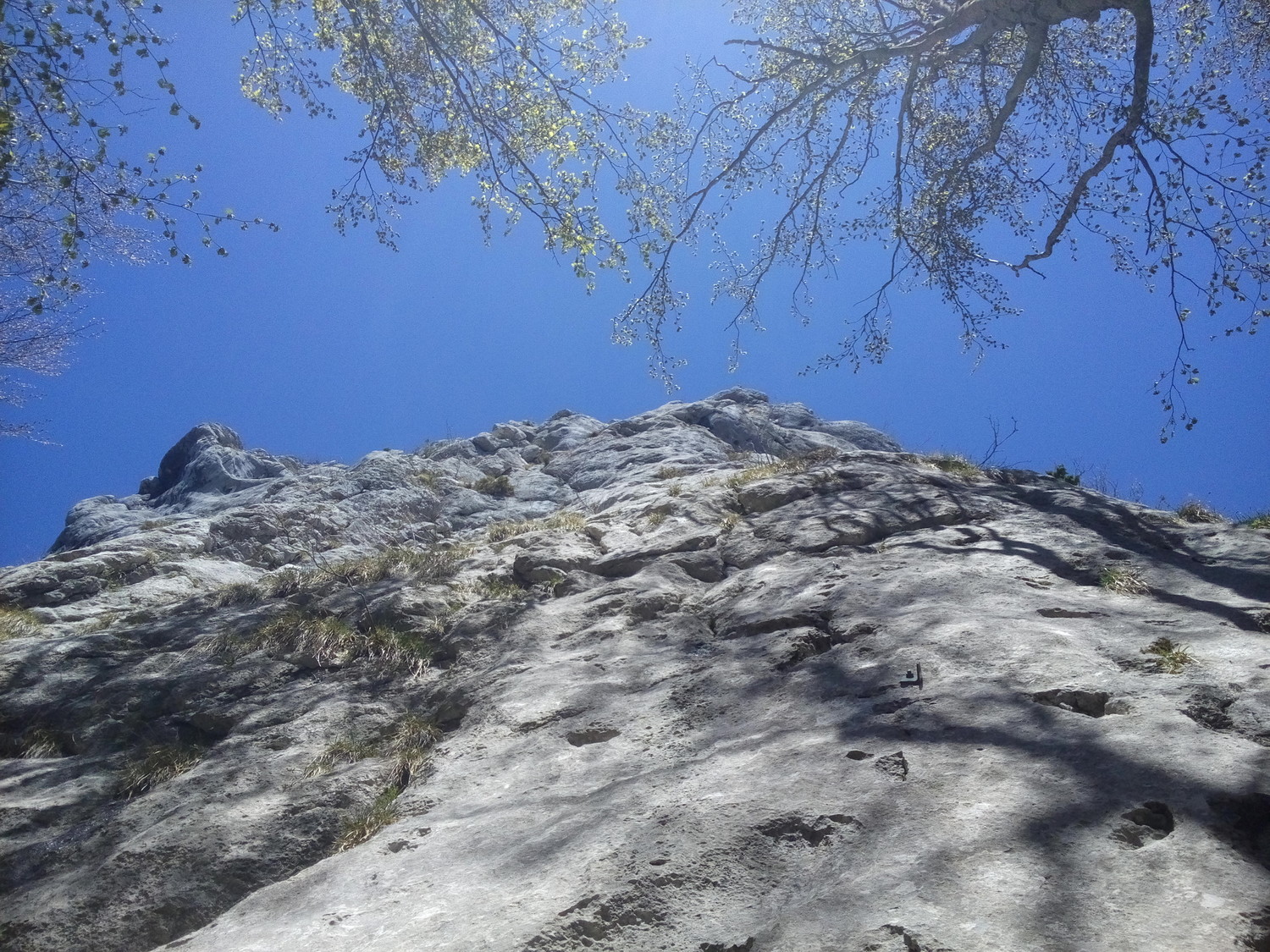Le départ de petit Piton