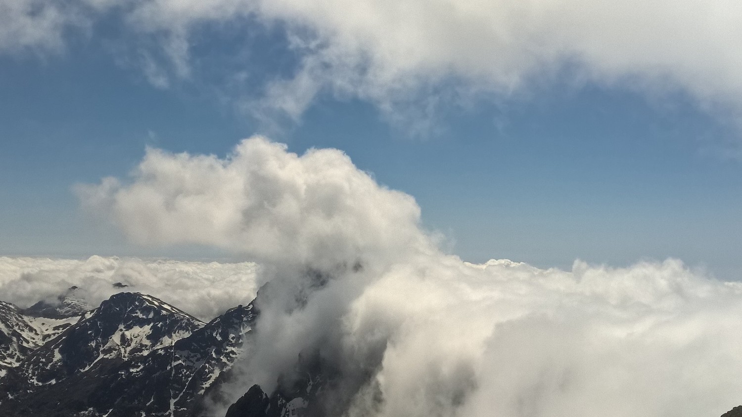 Paglia dans les nuages, W bouché