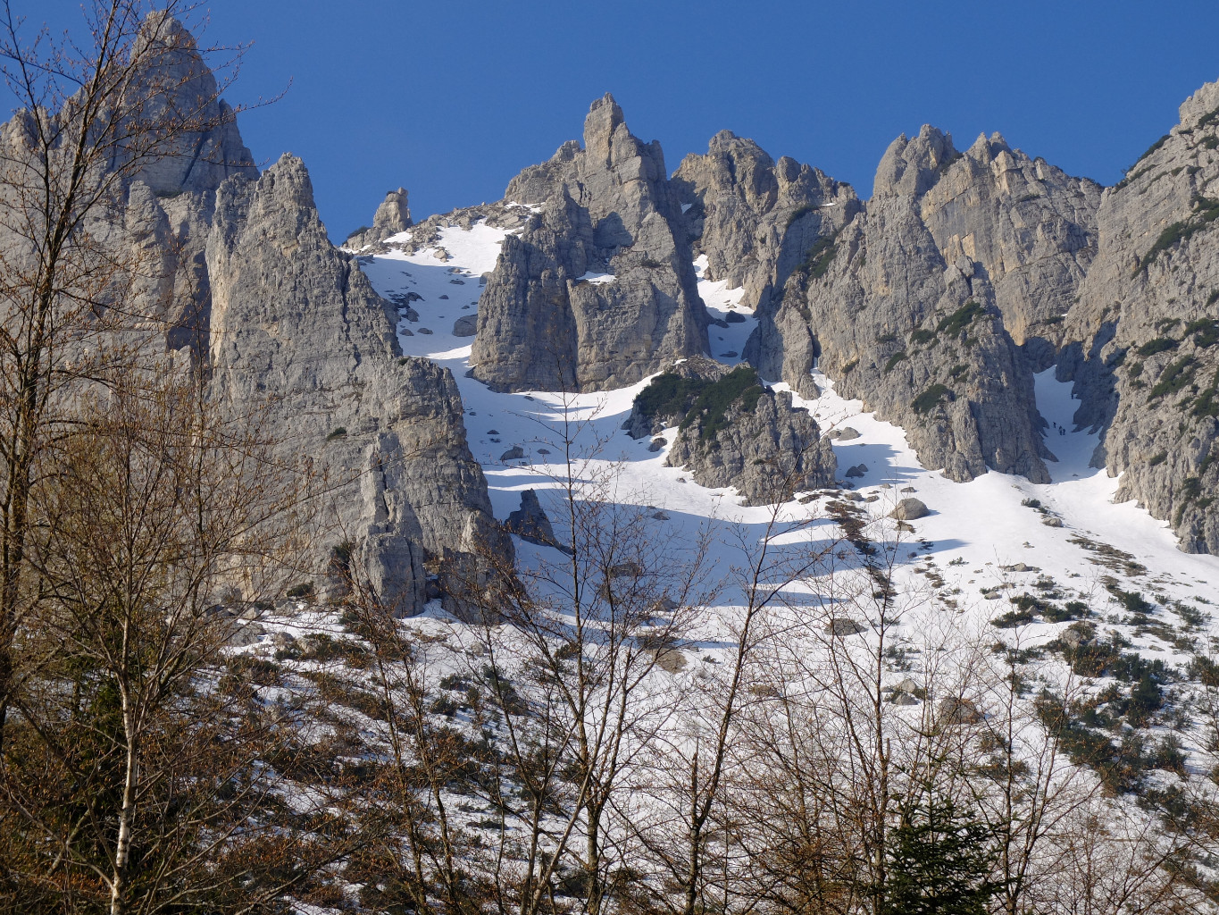 Pra dei Angeli. Ambiente salendo alla Cima Carega da Campogrosso.