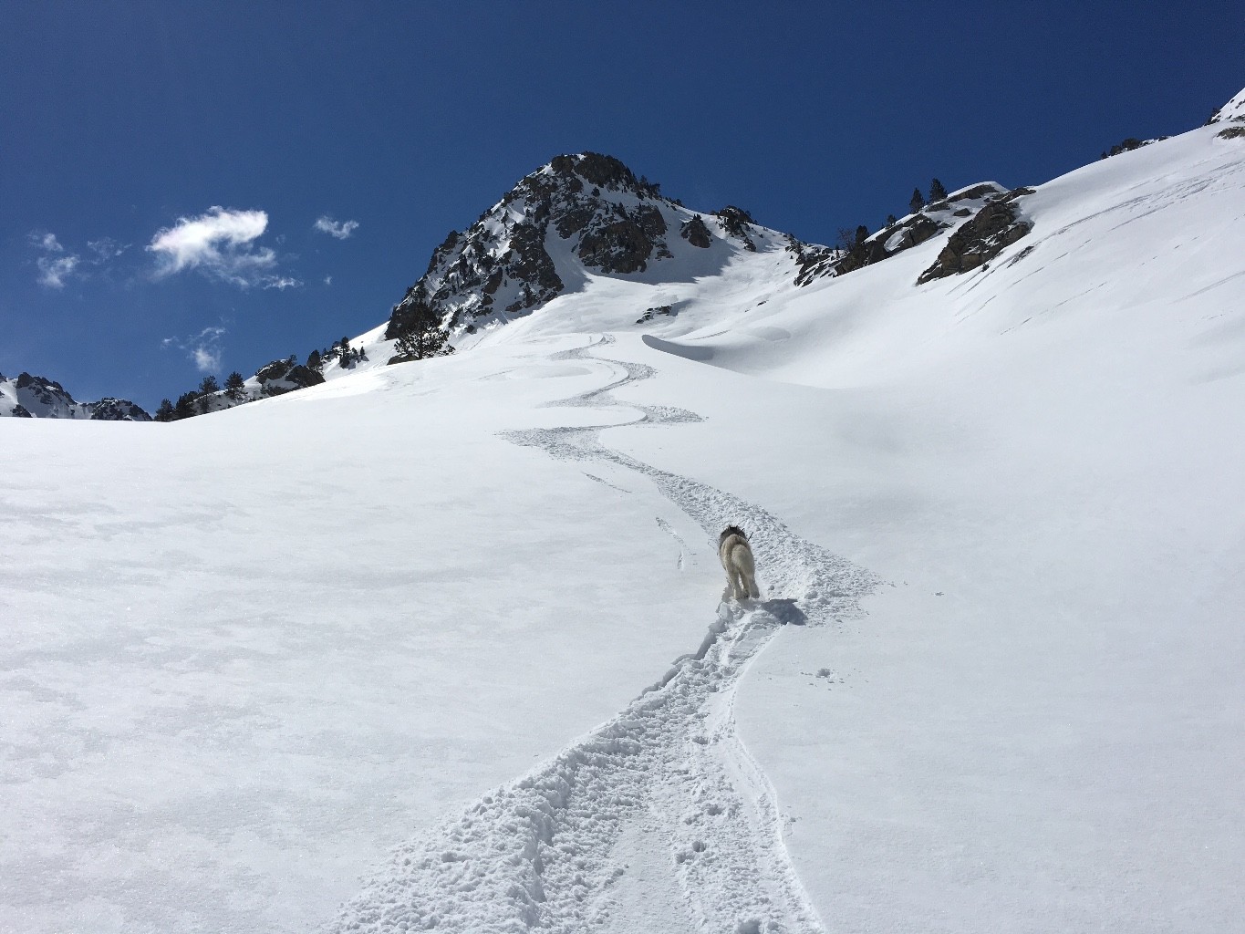Bonne neige