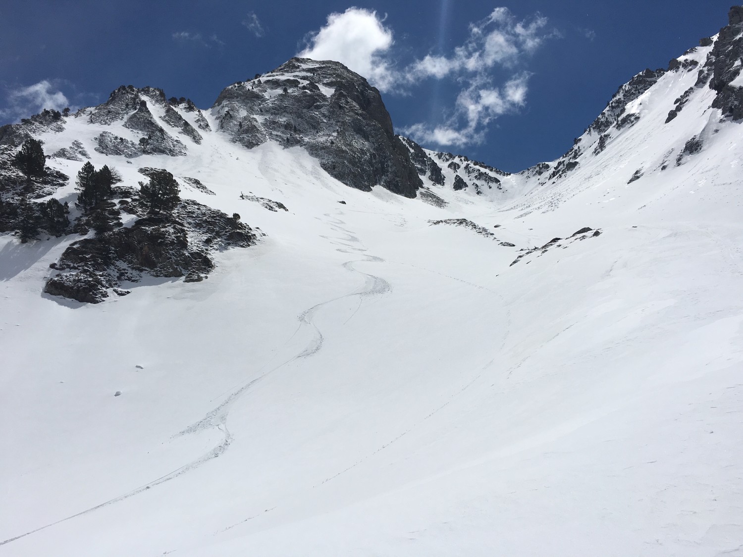 Dans la bat de caoubere