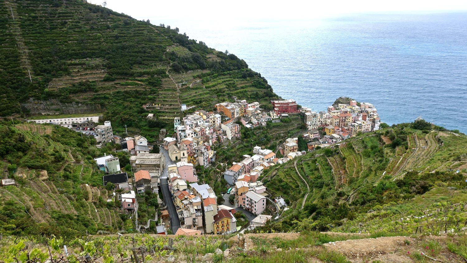 Manarola