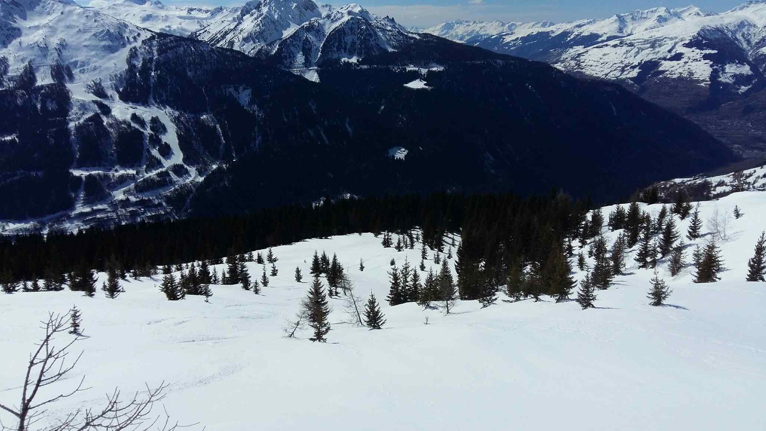 Sortie de la forêt
