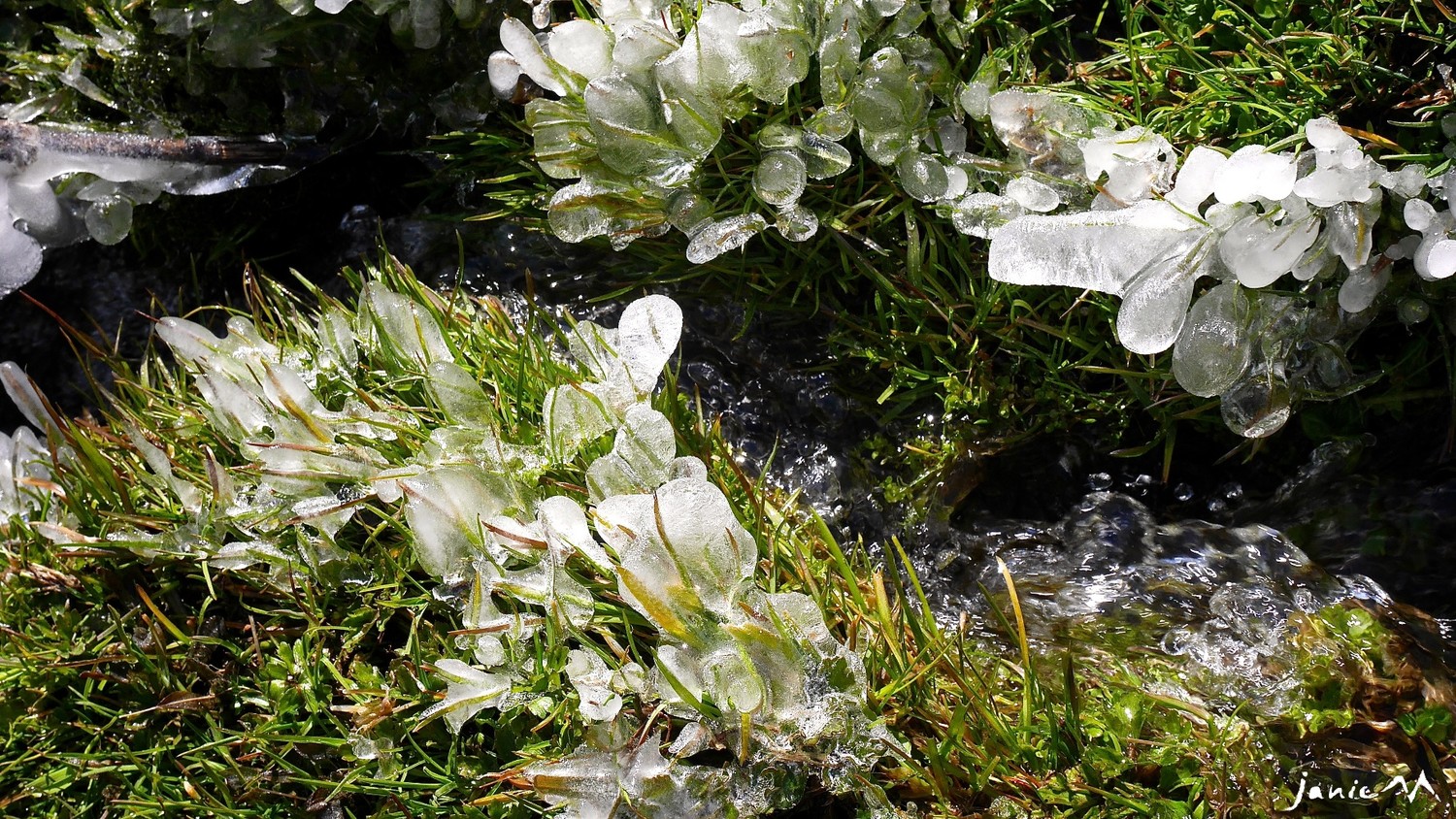 Un printemps qui se la coule douce
