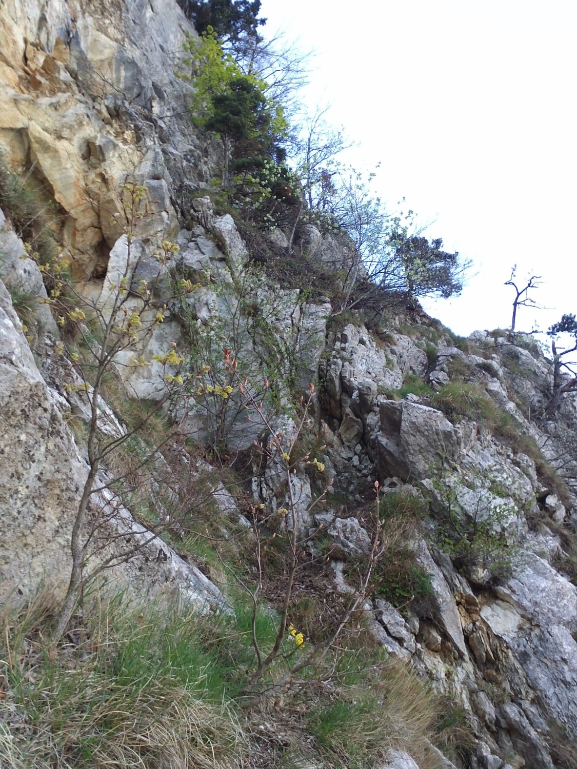 Passage du Schmolitz