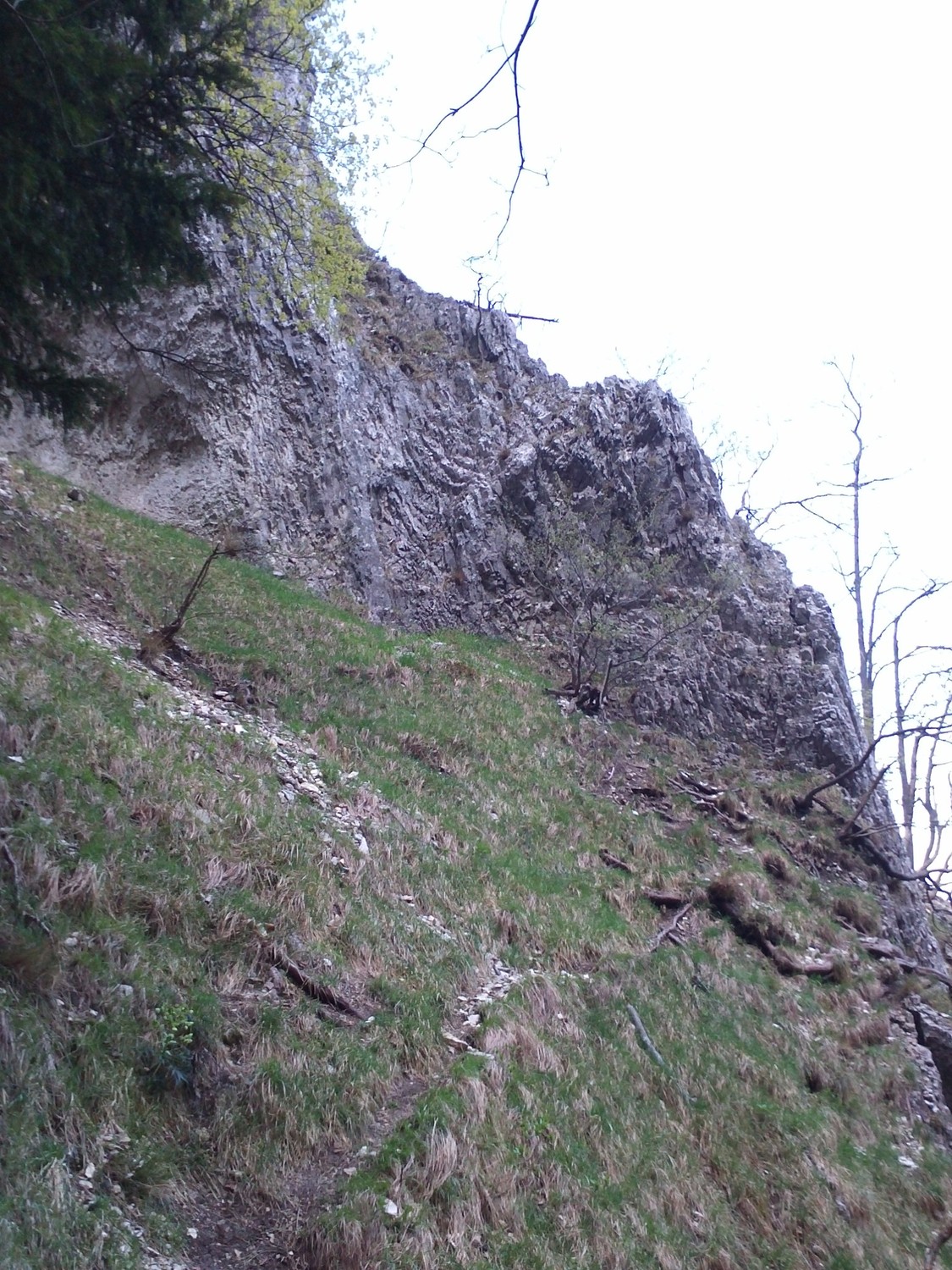 Pas des chevres