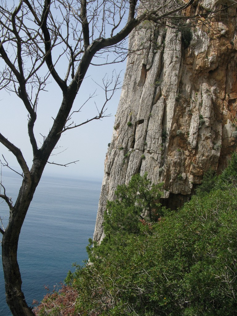 Vous avez dit "Calanques"?