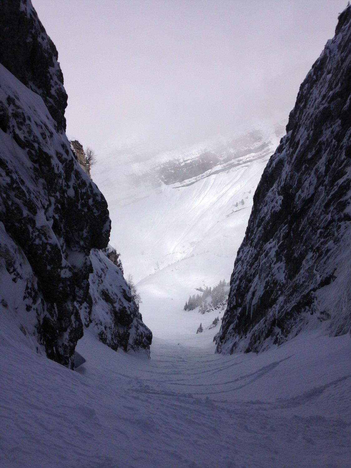 Fenêtre sur blonnière