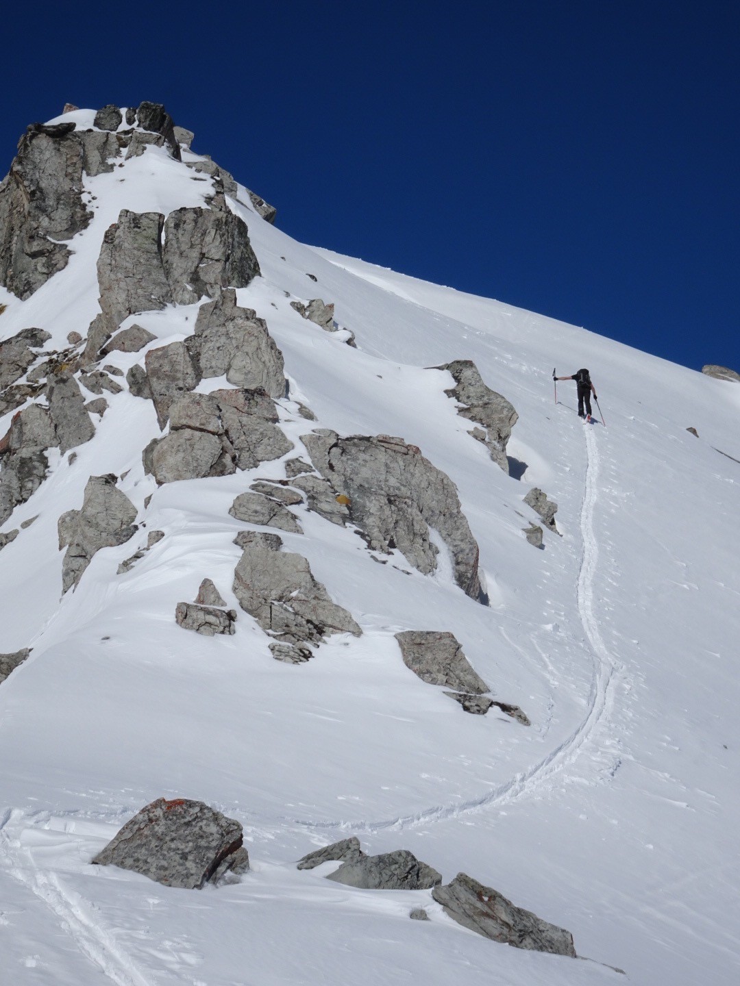 L'arête W