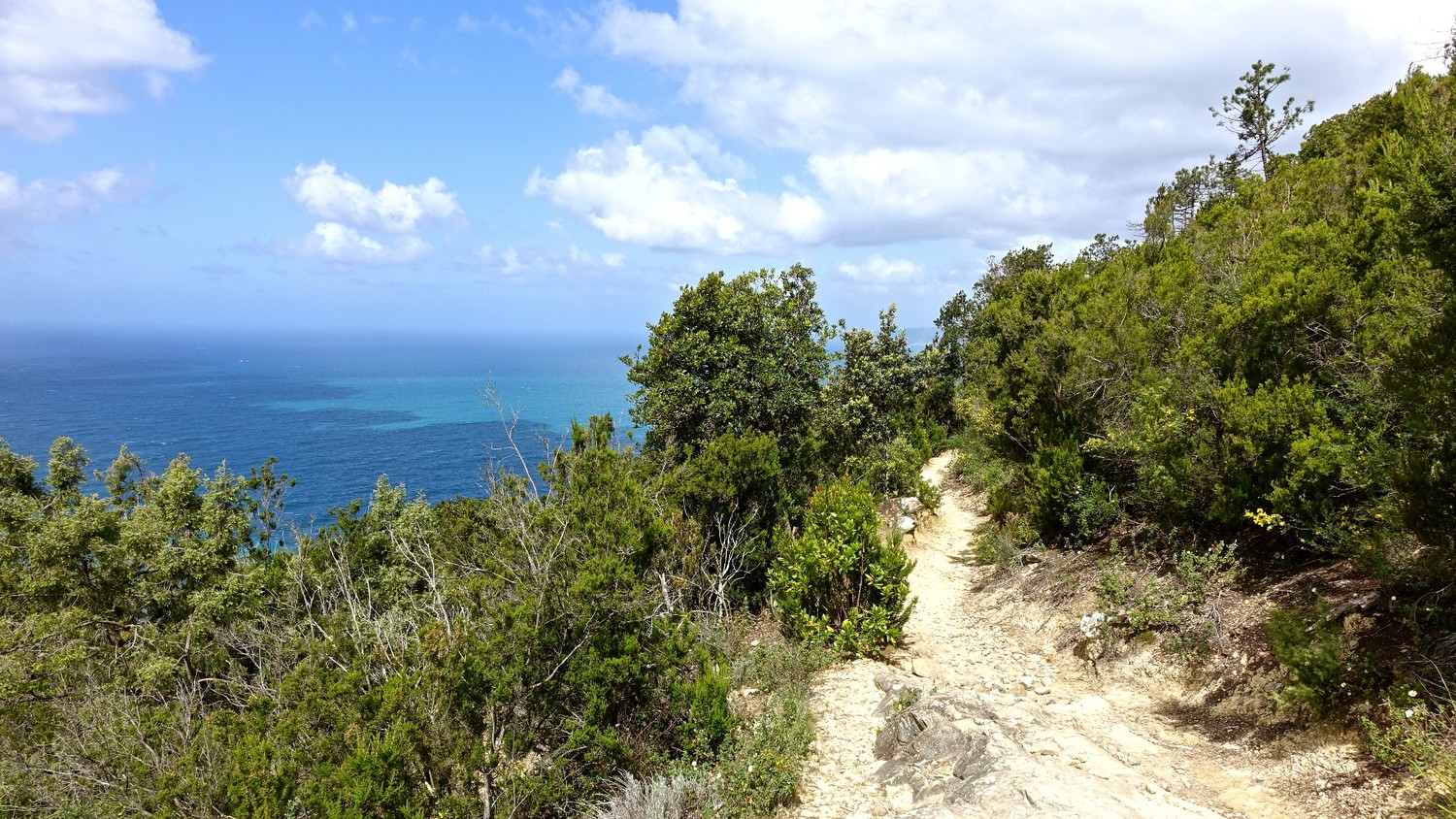 Chemin entre Levanto et Mesco