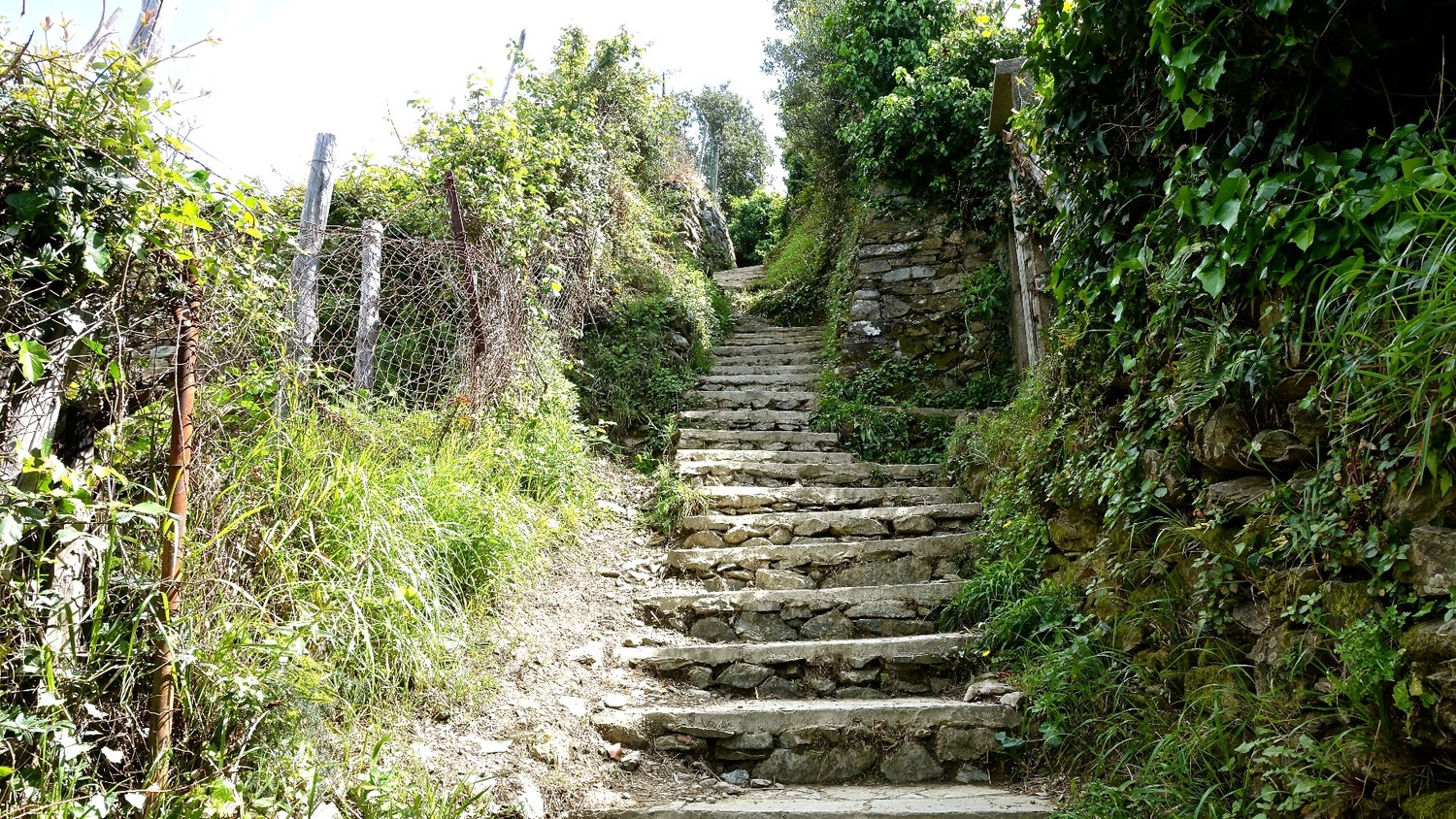 Toujours des escaliers