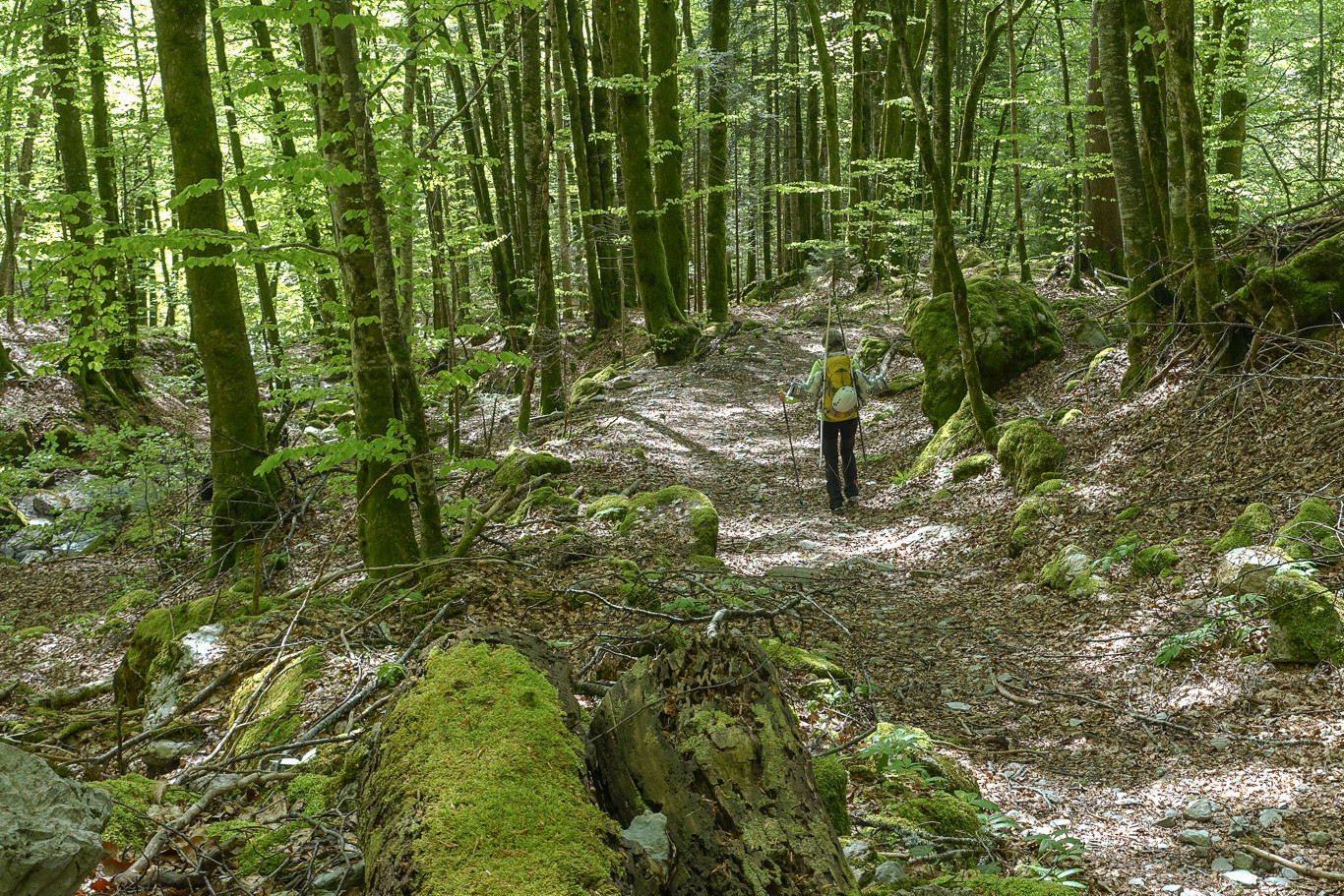 Un dernier "vert" pour la route