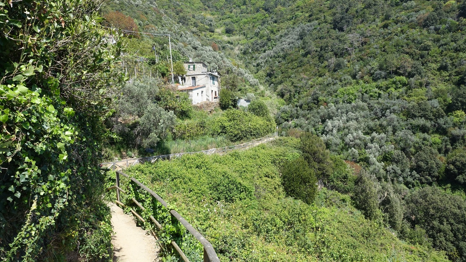 Chemin entre Monterosso et Vernazza