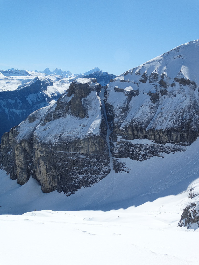 d'un peu plus pret