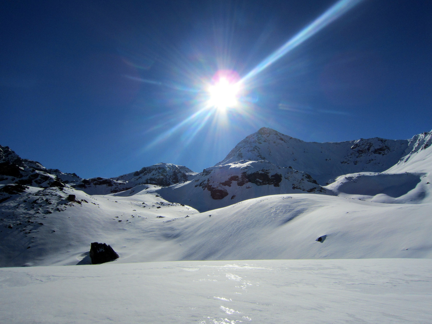 Schwarzhorn