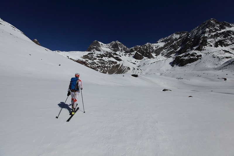 Al cospetto dell'Argente e del Zupò