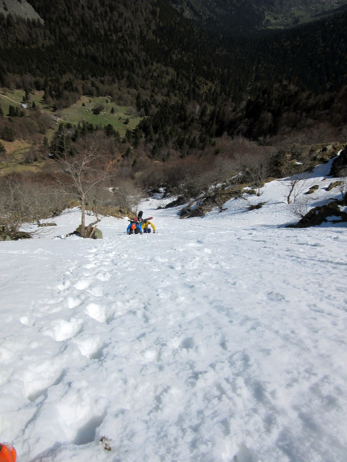 Petit Dagobert