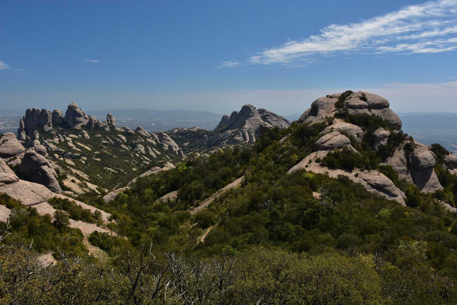 Vistes des de Sant Jeroni: a la dreta L'Albarda Castellana i al fons a l'esquerra L'Elefant