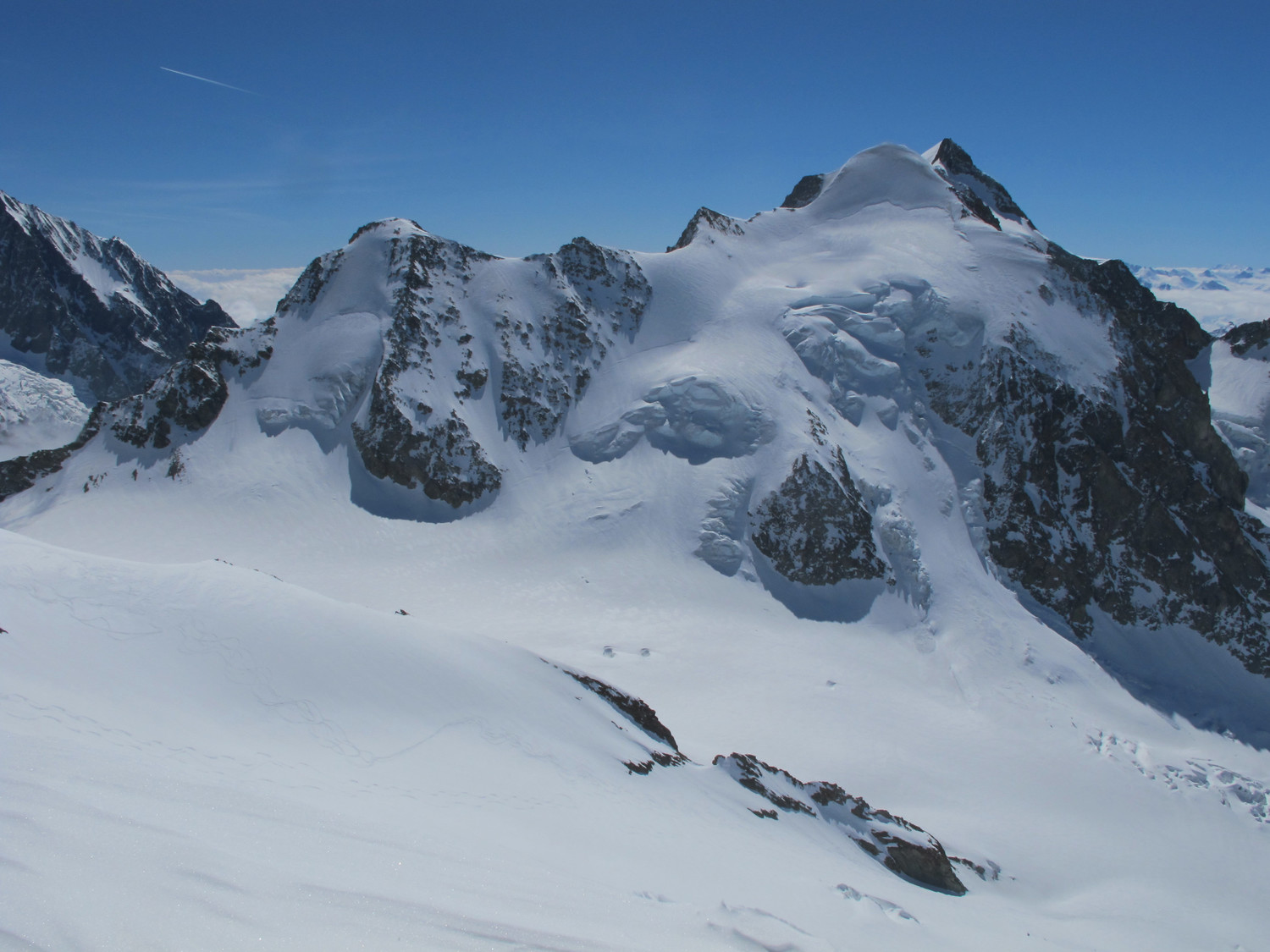 Tête Blanche.