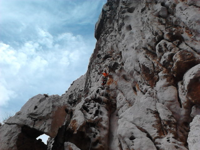 Taffonis