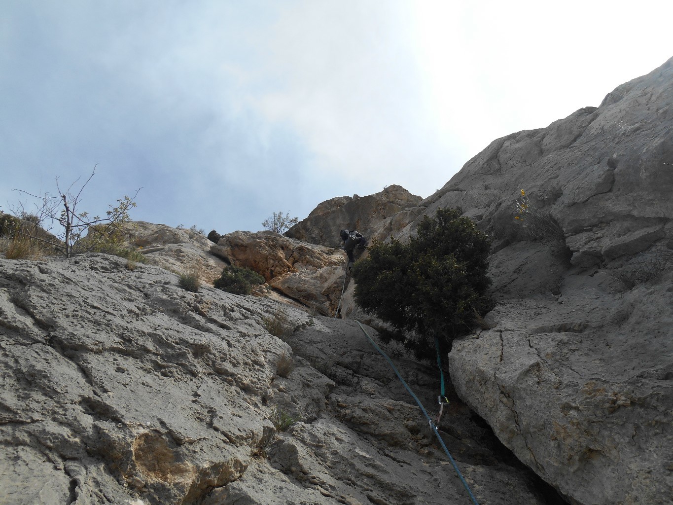 le chien qui aboie l'avant derniere longueur en 5b