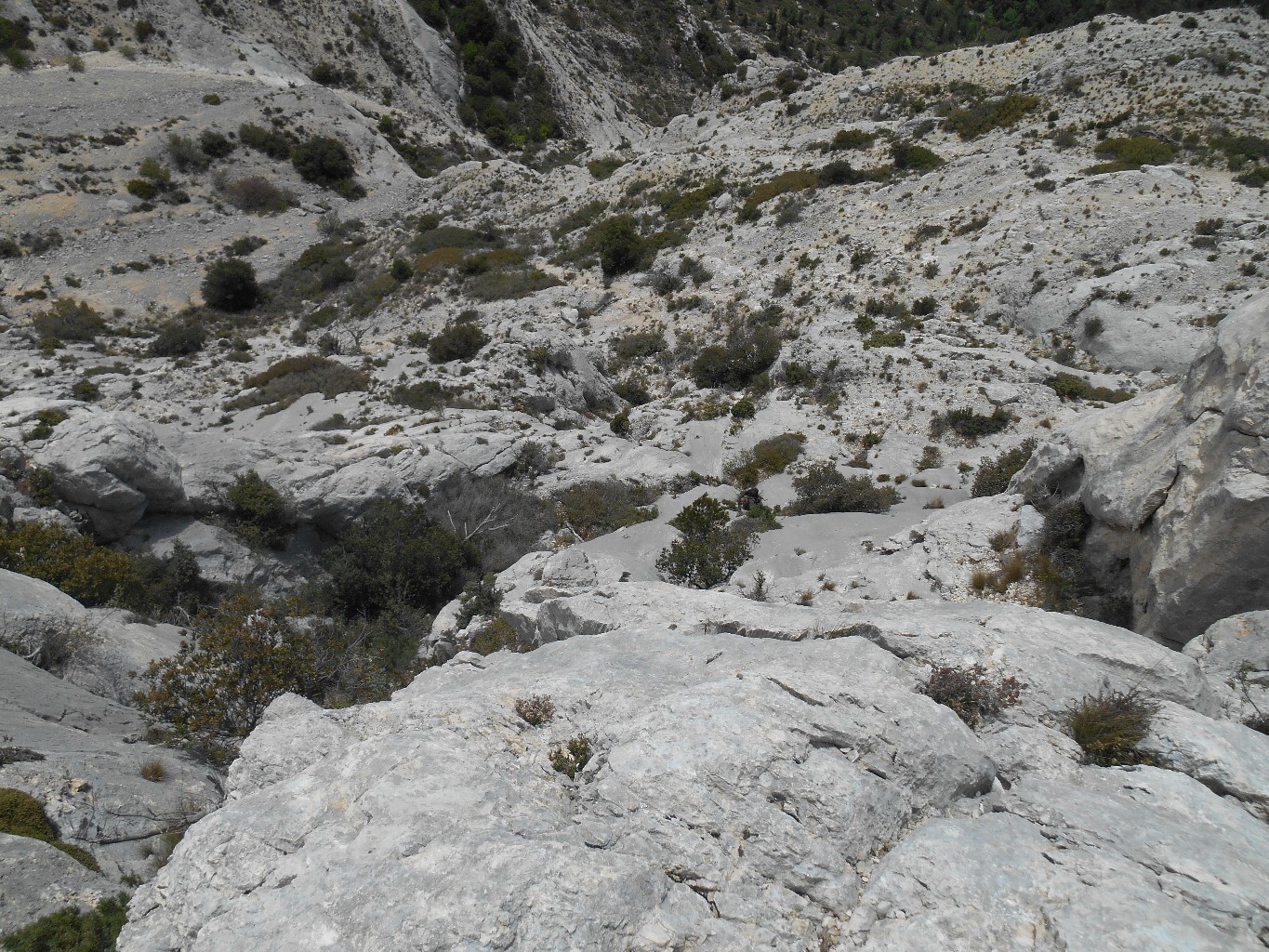 L1 la crypte