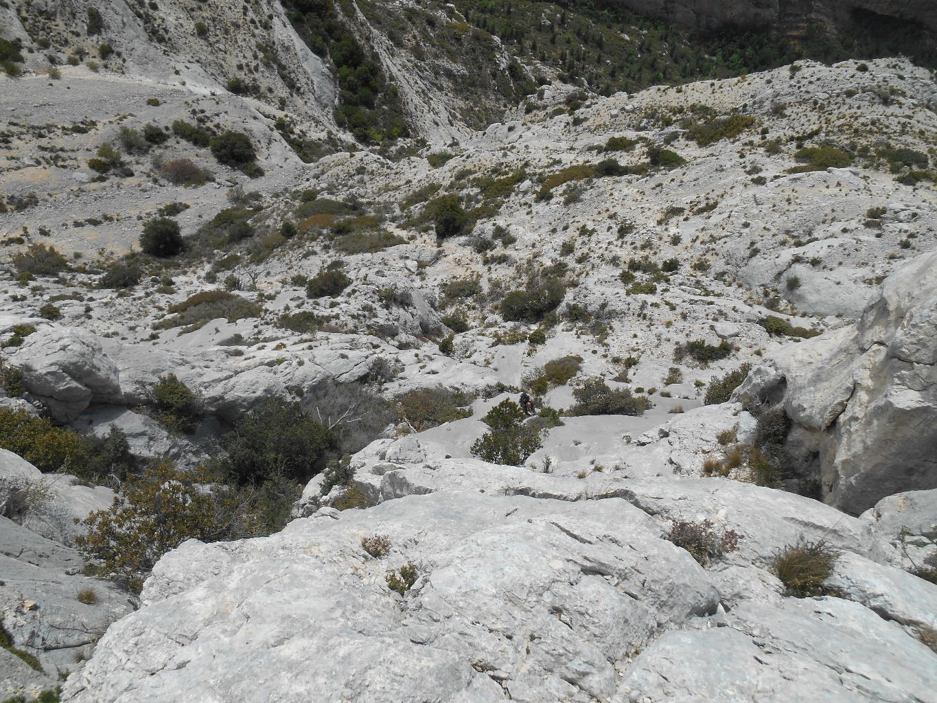 idem L1 la crypte