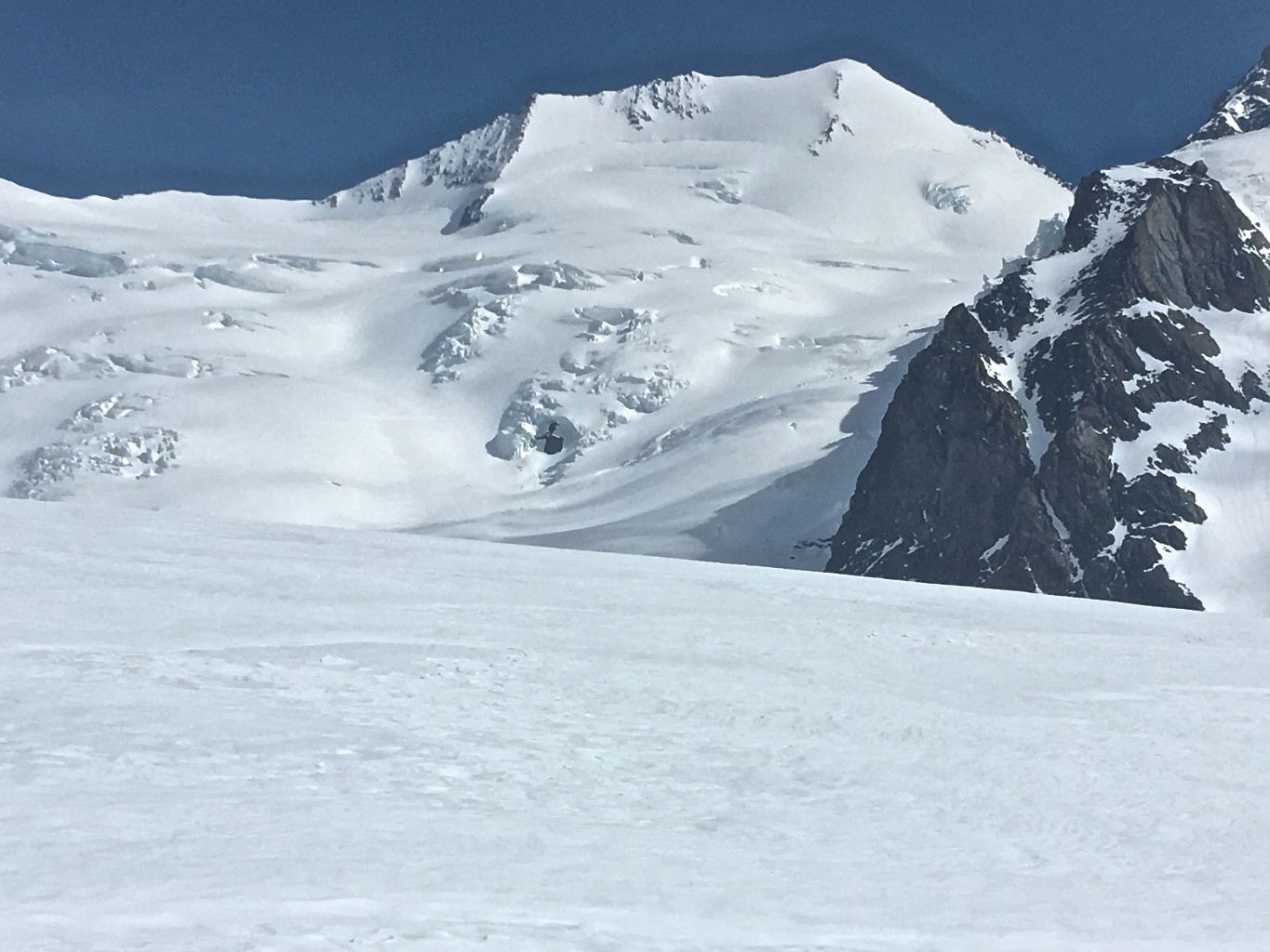 Agassizhorn vu du Fieschergletcher