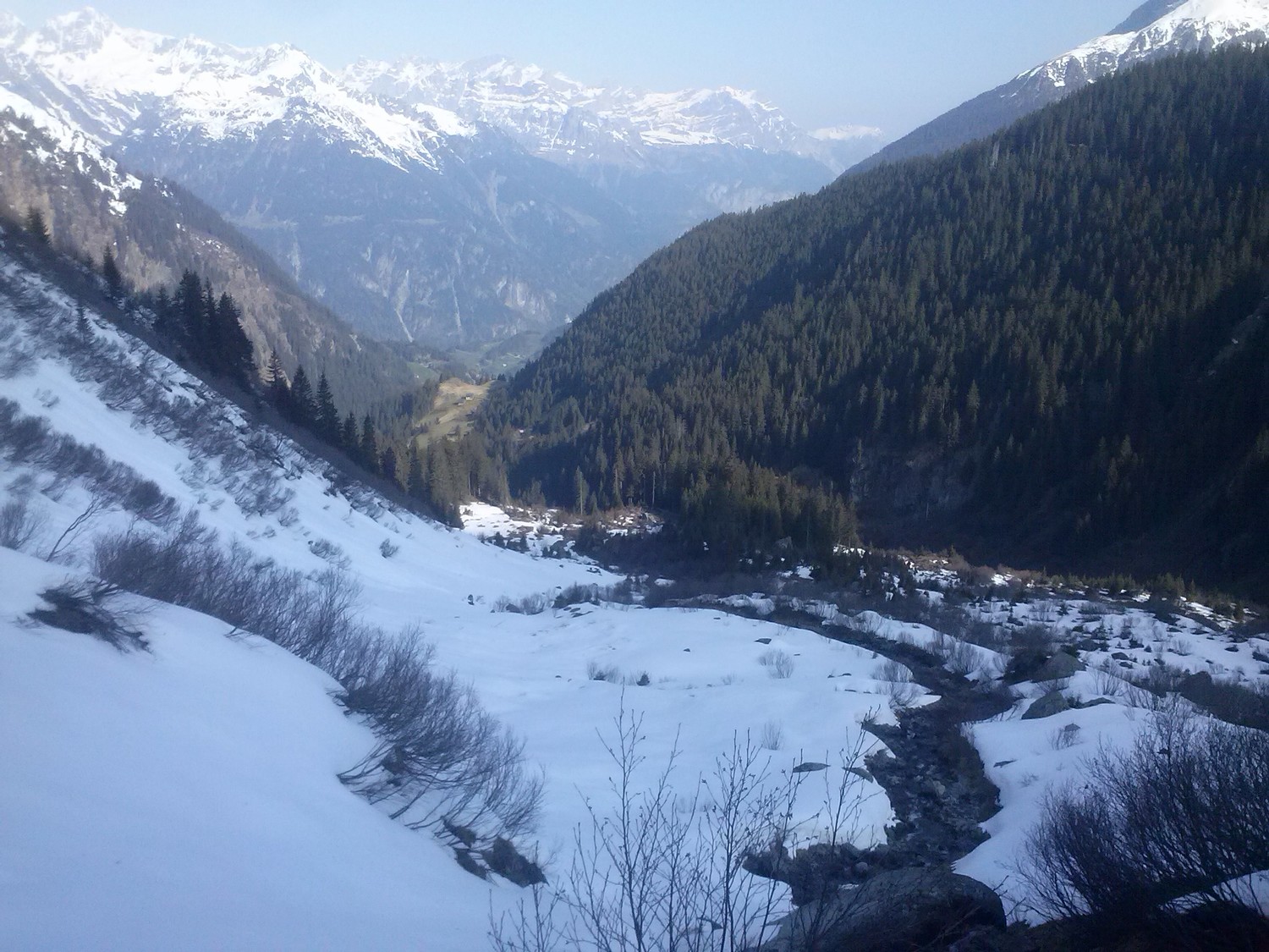 Dernières pentes de neige avant la forêt
