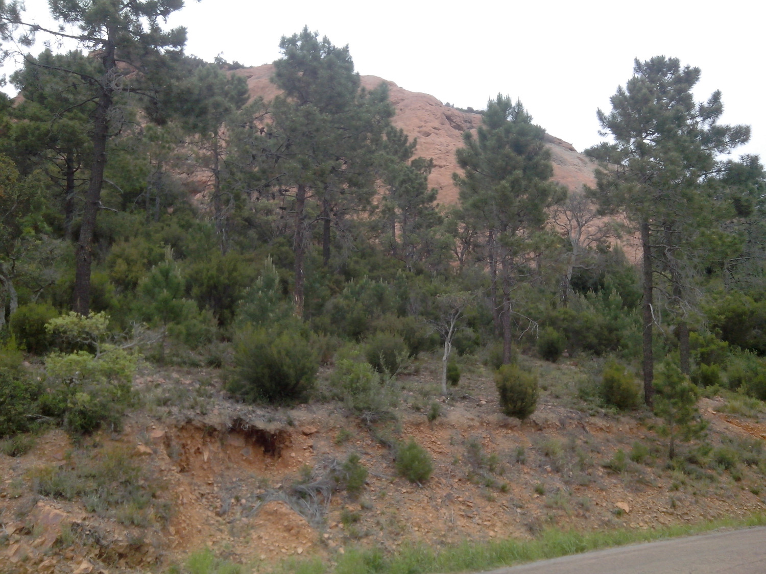 Rocher de Theole : le site vu parking.