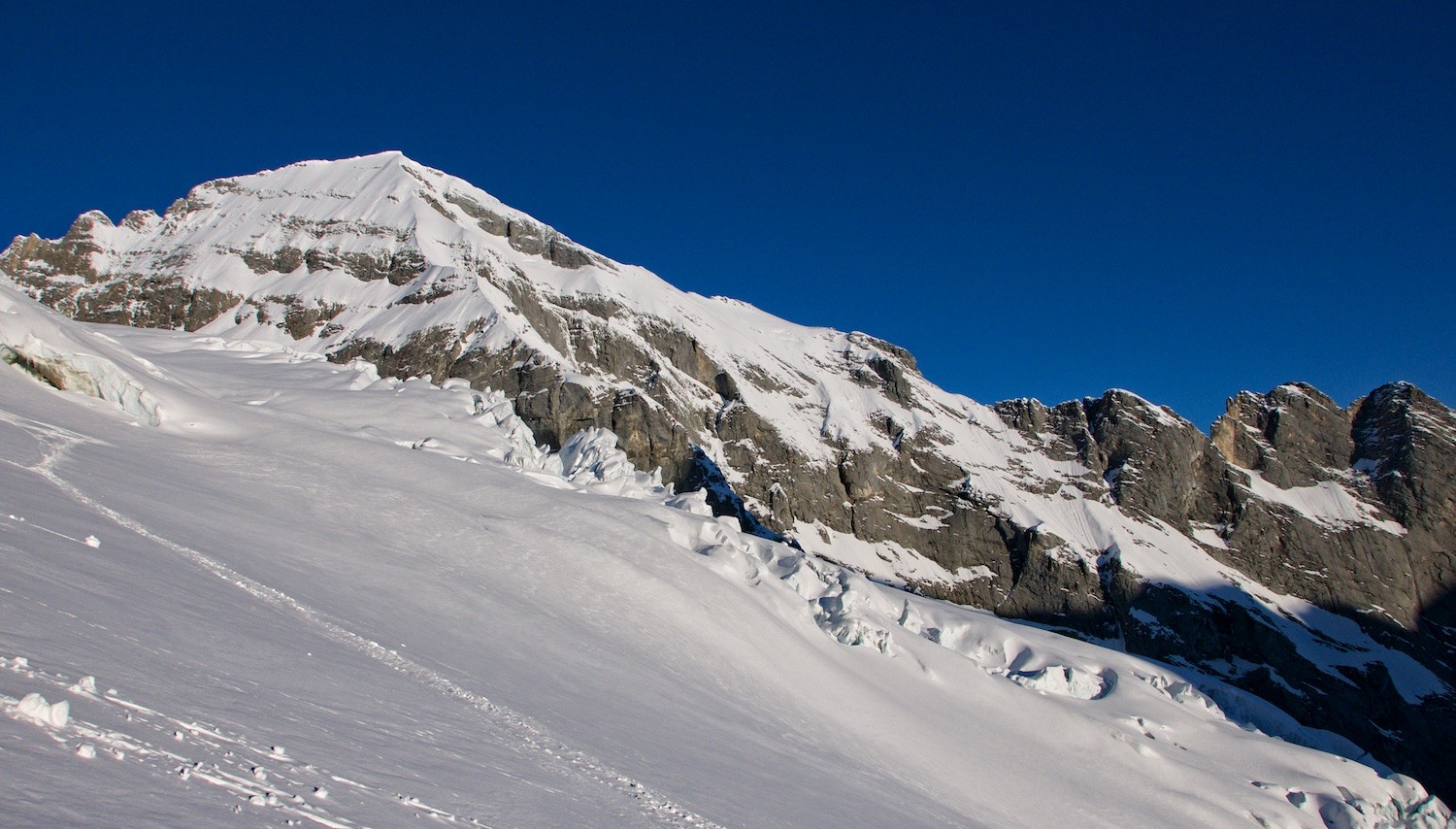 Rosenlauigletscher devant le Wellhorn