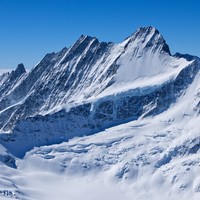 Lauteraarhorn - Schreckhorn
