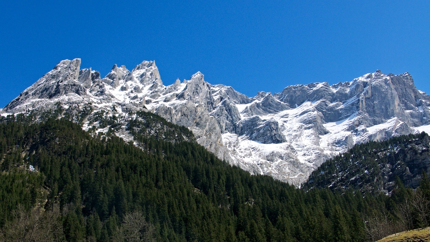 Engelhörner