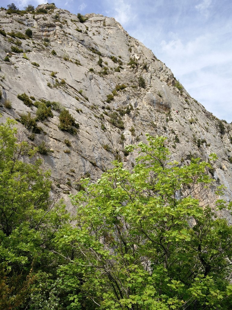Rêves de papillons vu du départ