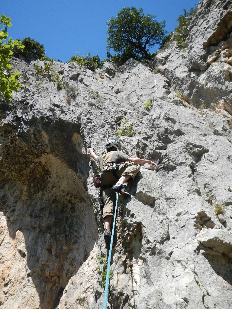 Un gros lézard...