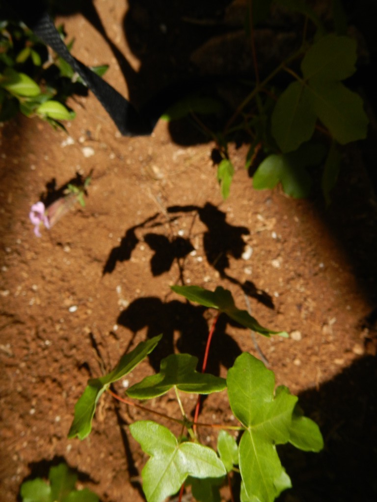 Land art, et photo by Justin!