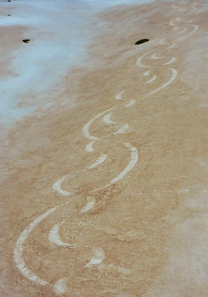 Caligraphie sur neige saharienne