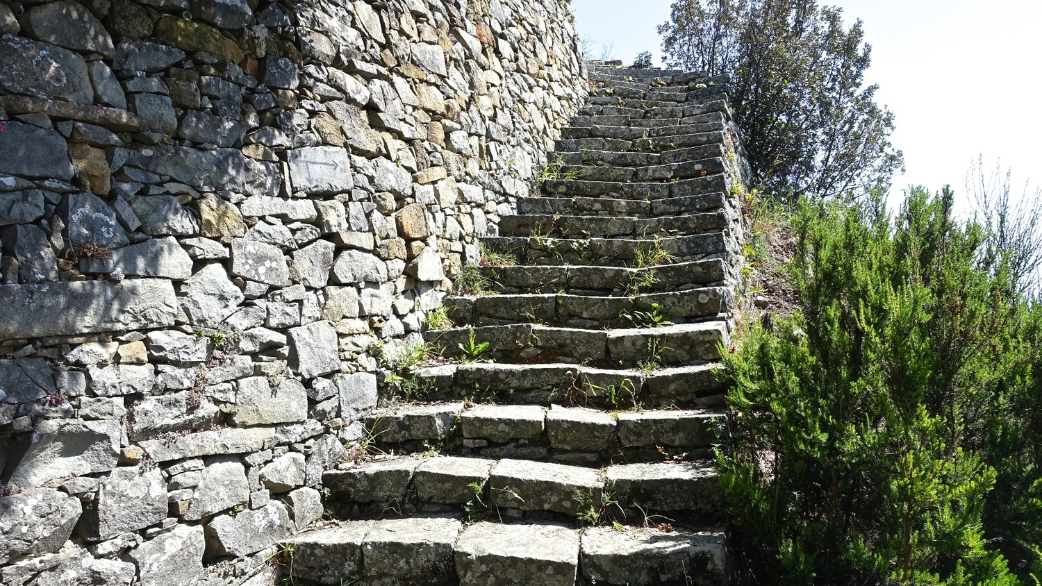 Escalier grand confort