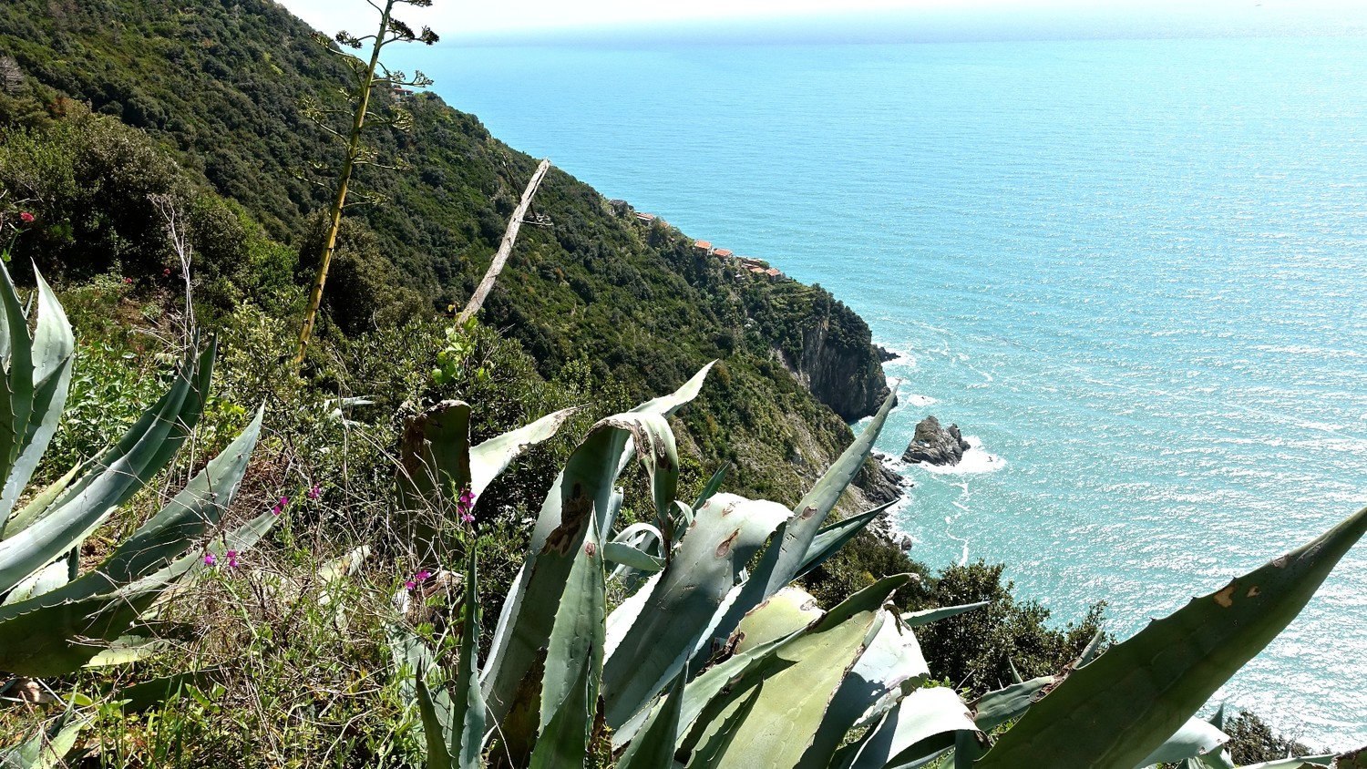 Ambiance méditerranéenne
