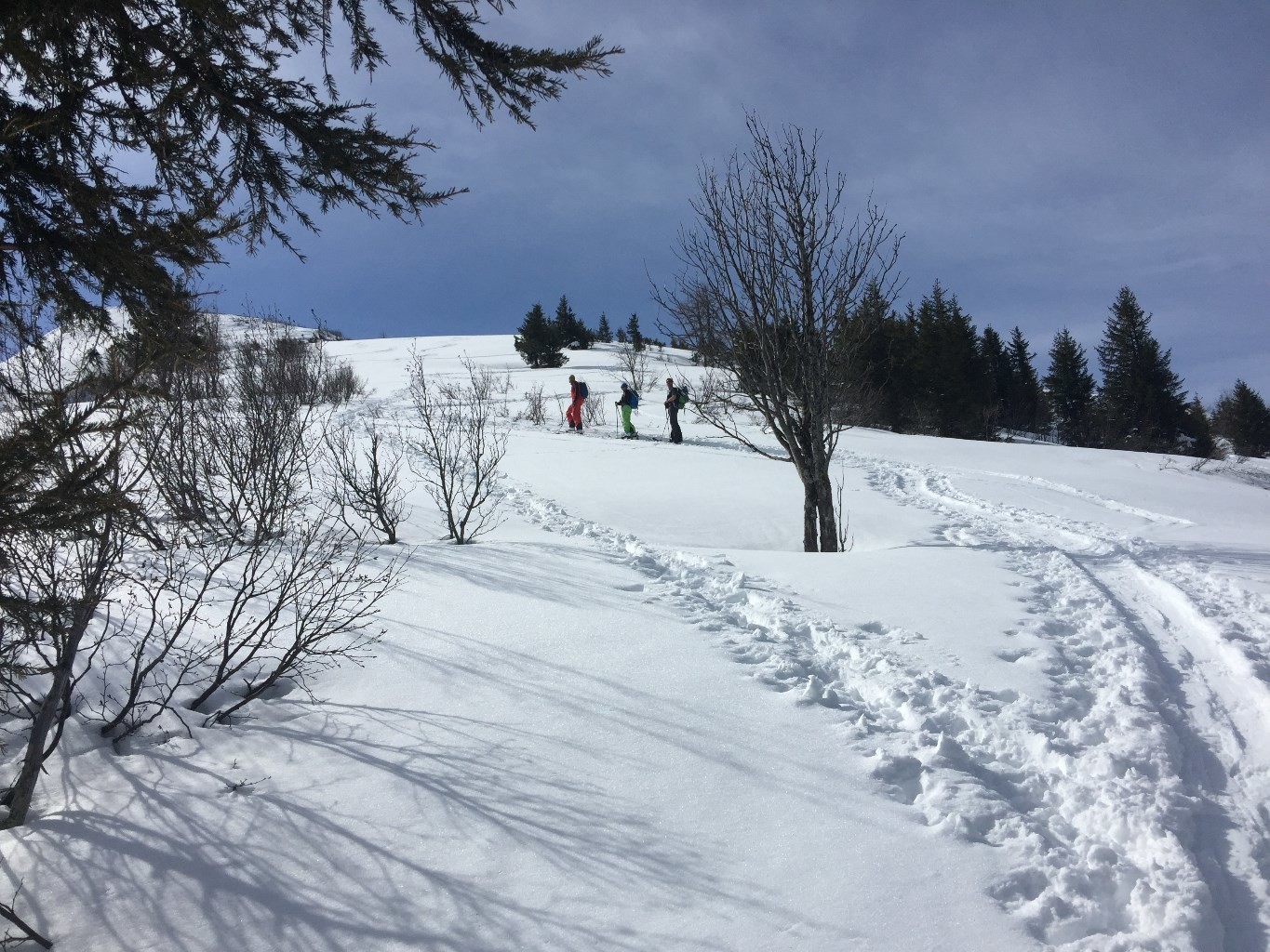 Encore pas mal de neige