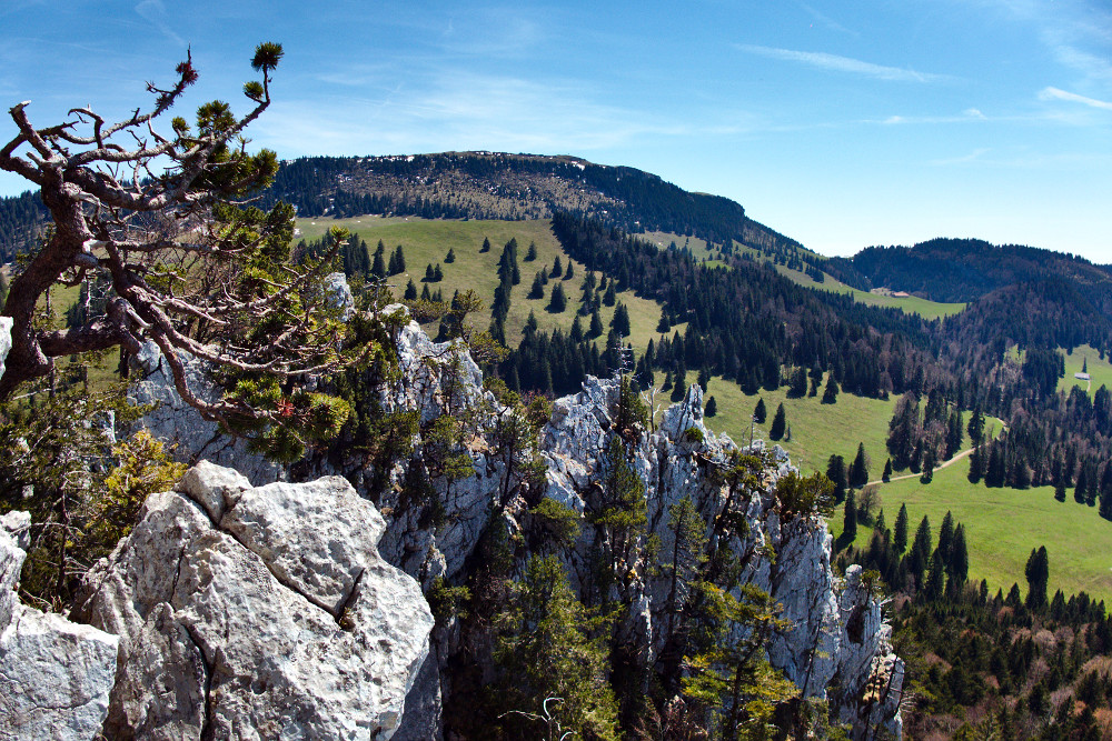 la Grande Arête vue d'en haut