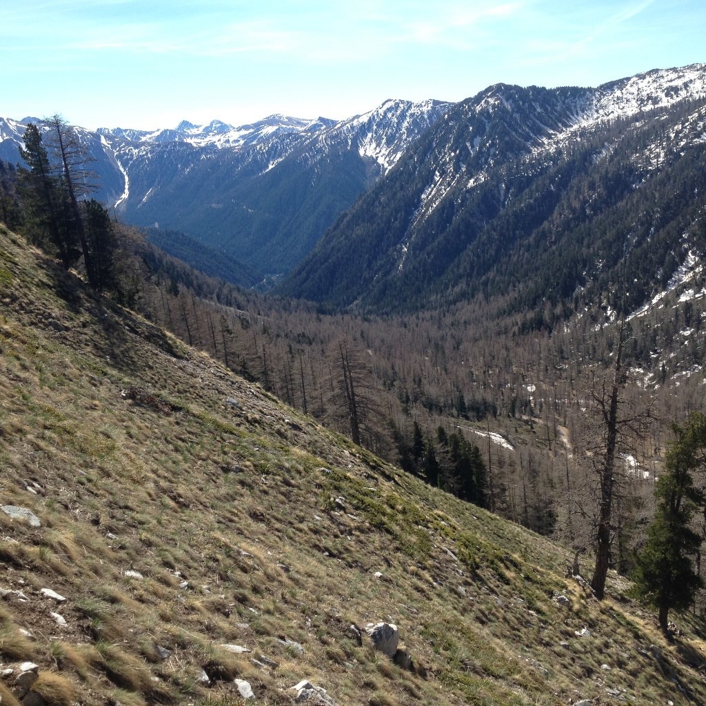 Vallon de Salèse