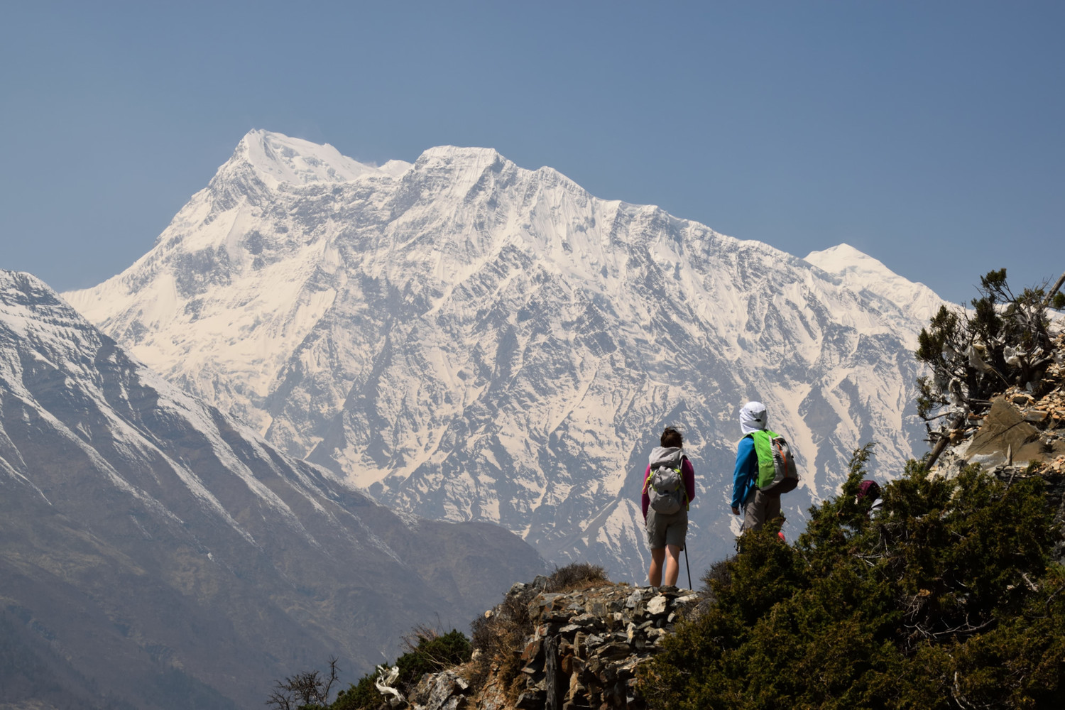 Ganga Purna (7455m) depuis le sentier balcon Ghyaru - Ngawal